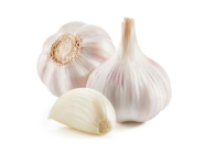 Garlic (China)